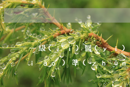 一級(jí)醫(yī)療傷殘賠償標(biāo)準(zhǔn)是多少呢？